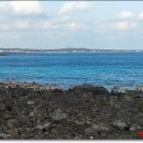 방주목장 이미지