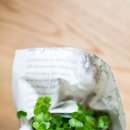 네잎클로버 이미지