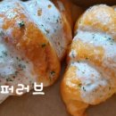 더쿡(The Cook)