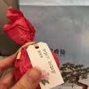 묵호반점 | 묵호여행, 월요일에 갈래말래 애매하긴해. 요즘 핫한 묵호 여행 솔직후기 | 논골담길, 묵호항 다녀온 후기