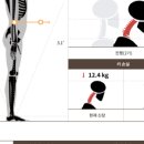 은평바른한의원 이미지