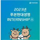 [푸본현대생명] 2023년 푸본현대생명 채용전환형 Internship (~07/16) 이미지