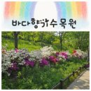 아주 소나무향기태권도 | [대부도 바다향기수목원] 가족과 함께한 자연 속 힐링 여행