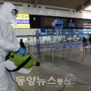 보라매동-19 이미지