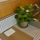 산아래스테이 | [전북특별자치도 정읍] 내장산에 있는 산아래 작은 스테이