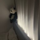 마요하 | 마요하 형상기억 암막커튼 샌드화이트 내돈내산 신혼집 셀프 설치 후기