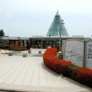 제주테디베어뮤지엄 이미지