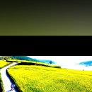 청산빌리지펜션 이미지