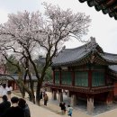 삼호통운(주) 이미지