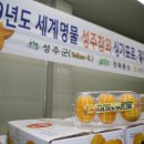 성주 이미지