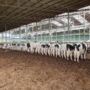 비전목장 이미지