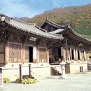 표충사 2 이미지