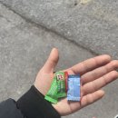 구포뒤고기 | 중국 칭다오 황다오구 하이디라오 후기