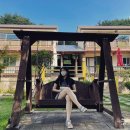해피몽 | [강릉] 애견동반펜션 해피몽펜션 후기