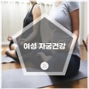 서진DCP 이미지