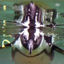 세계의창 이미지