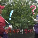 먹방농장1 이미지