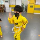 한국체대 마스터한 태권도 이미지