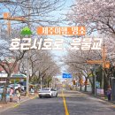 호근서호로 이미지