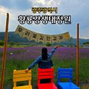 서봉지구파크골프장 (옥내1) | 광주 광산구 황룡강생태정원 팜파스 가을 산책길