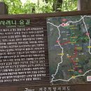 중미목장 이미지