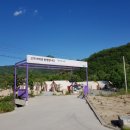 아쿠아마린 글램핑 이미지