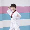 KAT태권도 이미지