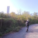 금산인삼랜드(대전) 이미지