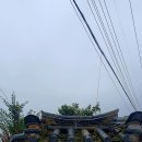 효자김강철지려 이미지