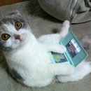 텔레마케팅관리사 필기 - 판매관리 이미지