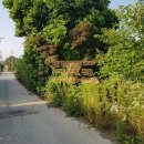 영국부동산공인중개사사무소 이미지