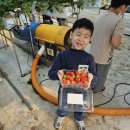 남악현무태권도장 이미지