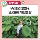 맘꽃 이미지