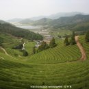 보성농원 - 예산군 오신로 466-10 | 보성농원