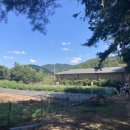 덕진목장 이미지