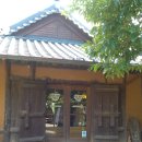 참나무쟁이 이미지