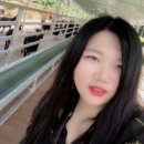 말코농장 | 제주가족여행 제주토종흑염소목장 피톤치드 편백나무 숲길 아기 염소 먹이주기