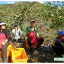 쌍둥이네 농장 이미지