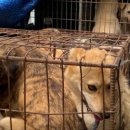 종식2농장 이미지