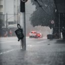 (주)카통령 이미지