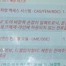 카데렐라 이미지