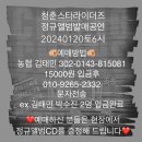 그린빈 버찌라이브하우스 이미지