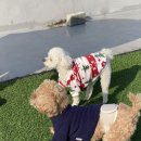 뭉티의 하루 이미지