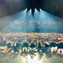 하우하우스(How House) 이미지