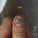 울진한의원 | 뭐라노 티라노 알로사우르스~