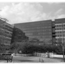 호국로 43길 이미지