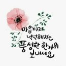 청포 - 서귀포시 중정로 60 | 청포