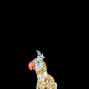 시간의 홀 이미지