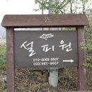 설피원
