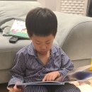유시훈()
